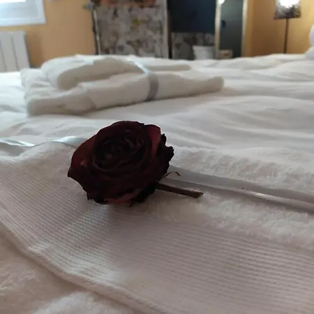 Cool Center Floral Apartman *